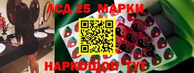 СК Новозыбков