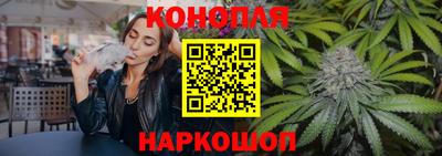 СК Новозыбков
