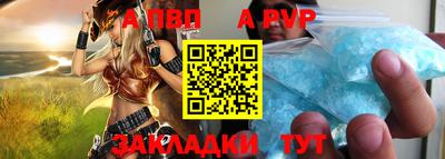 СК Новозыбков