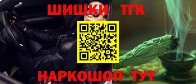 СК Новозыбков