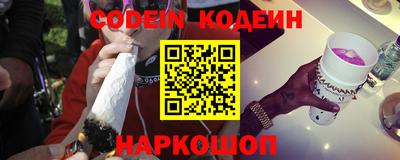 СК Новозыбков