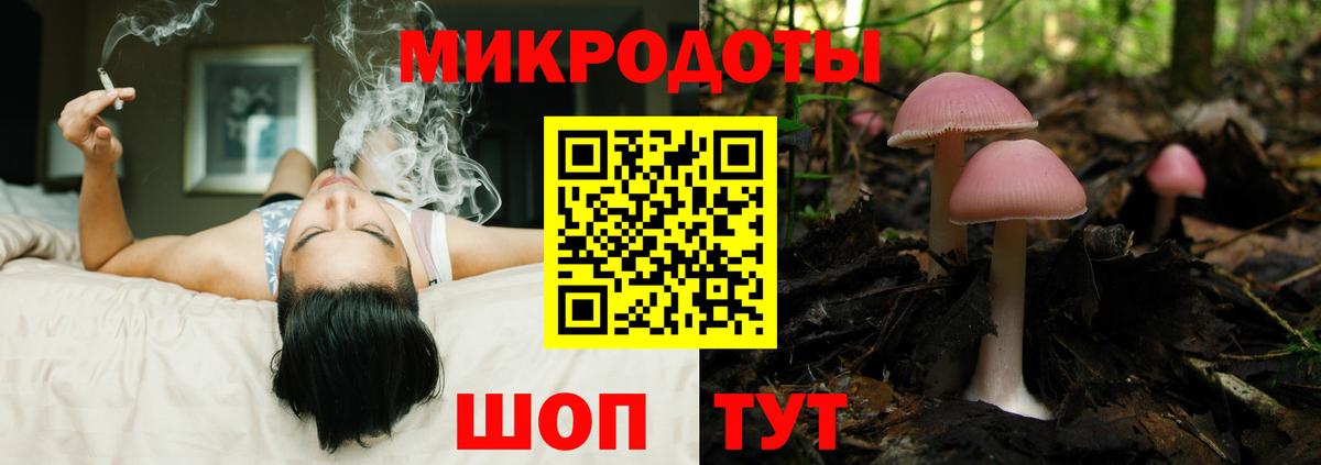 Советск  Галлюциногенные грибы Cubensis  Вход с VPN 