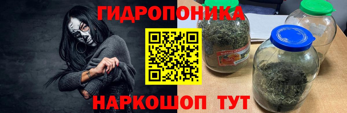 Бошки марихуана ГИДРОПОН Советск
